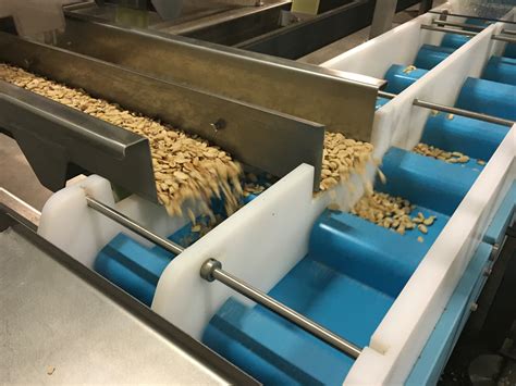 Success Stories Almond Processing Dynaclean Food Conveyors