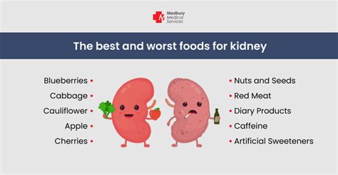 Eight 8 Healthy Lifestyle Habits To Maintain The Kidney Medbury