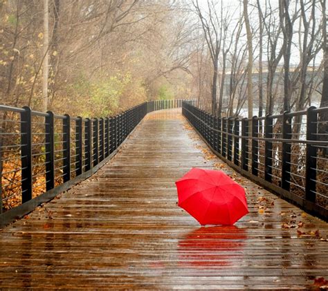 Lost Red Umbrella On A Bridge Autumn Season Rainy Day