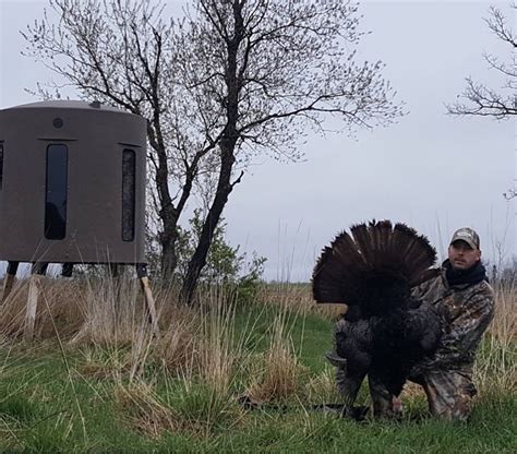 Turkey Hunting Blind Tips Setting Up For Success Banks Outdoors