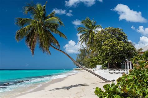 Visitors to barbados, the eastern caribbean, and the oecs. Our Favourite Luxury Hotels in Barbados | Your Travel