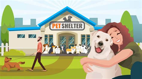 What You Can Do To Help The Pet Shelters Infographic