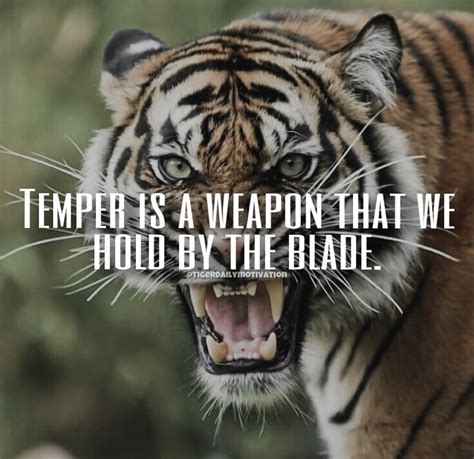 Tiger Motivational Quotes 🐅 On Instagram Double Tap And Comment If You
