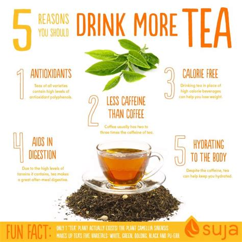 The infusion of orange blossom is well known for its use in the preparation of bread of the dead, however, its uses go beyond gastronomy, as it has properties that can benefit our health. Benefits of Drinking Tea | Drinking tea, Best herbal tea ...