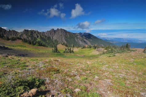 Here Is The Best Camping In Olympic National Park