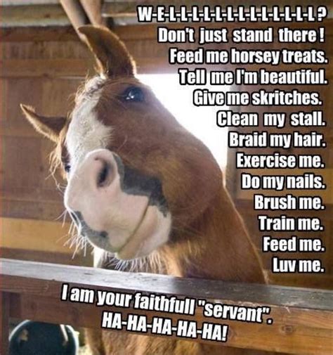 So True Funny Horse Pictures Funny Horses Funny Horse Memes
