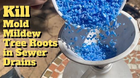 Copper Sulfate Diy Roof Cleaner And Tree Root Killer Youtube