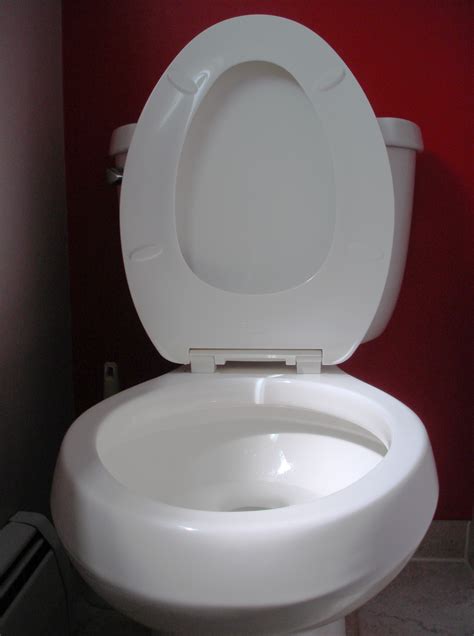 File Toilet Seat Up