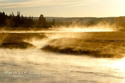 Madison River Steaming In The Cold Air Yellowstone National Park Wyoming