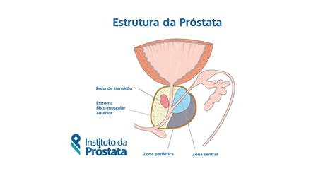 O Que A Prostata Faz
