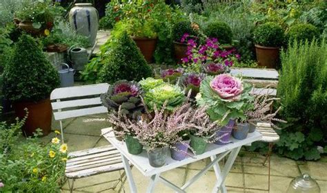 Alan Titchmarsh Tips For A Colourful Autumn Garden Garden Life