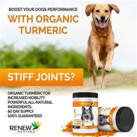 Organic Turmeric Joint Supplement For Dogs 120 Soft Chews Renew Actives