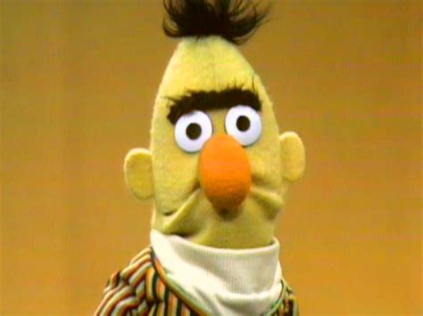 Bert Through The Years Muppet Wiki