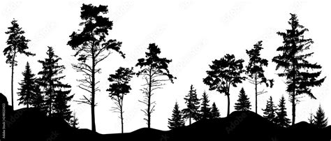 Forest Silhouette Trees Vector Illustration Trees Isolated From Each