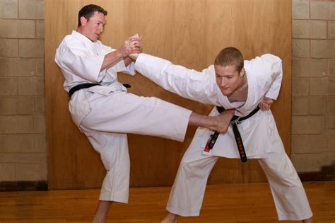 See more ideas about martial arts techniques, martial arts, martial. Top 10 Martial Arts Disciplines for Self-Defense and ...