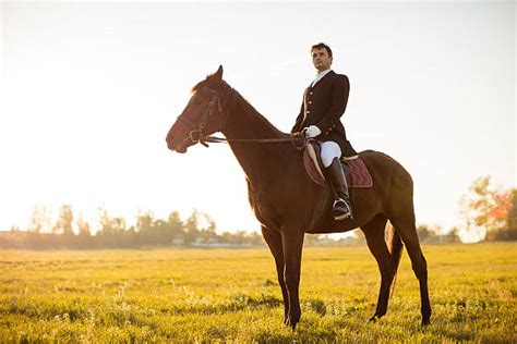Royalty Free Man Riding Horse Pictures Images And Stock Photos Istock