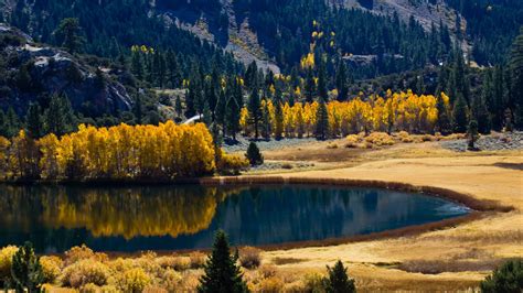 Lake Surrounded By Autumn Trees And Mountains 4k Nature Hd Wallpaper