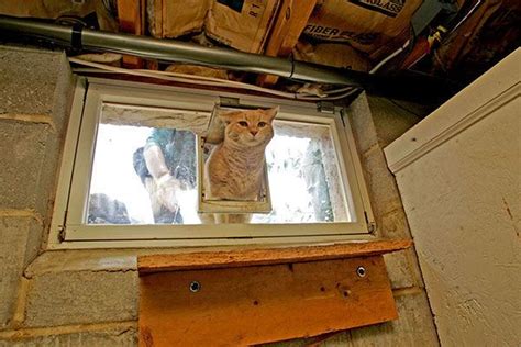 156 results for cat door for window. Homemade cat door @ basement sliding window | Cat door diy, Cat door