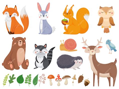 Lindos Animales Del Bosque Conjunto De Ilustración De Dibujos Animados