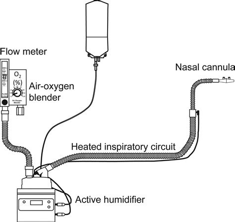 High Flow Nasal Cannula Oxygen Therapy In Adults Physiological