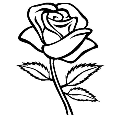 Inspirasi Terkini Sketsa Bunga Mawar Gorden Jendela