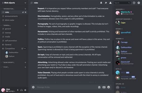 Make A Professional Discord Server By Wishonthemoon Fiverr