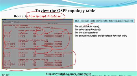 Troubleshooting Ospf Multiple Commands To Troubleshoot Ospf Ccna Hot Sex Picture