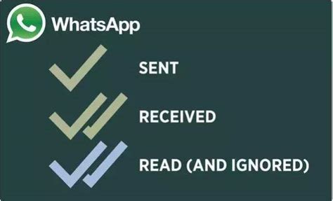 Whatsapp Faqs What Do The Checks On Whatsapp Mean