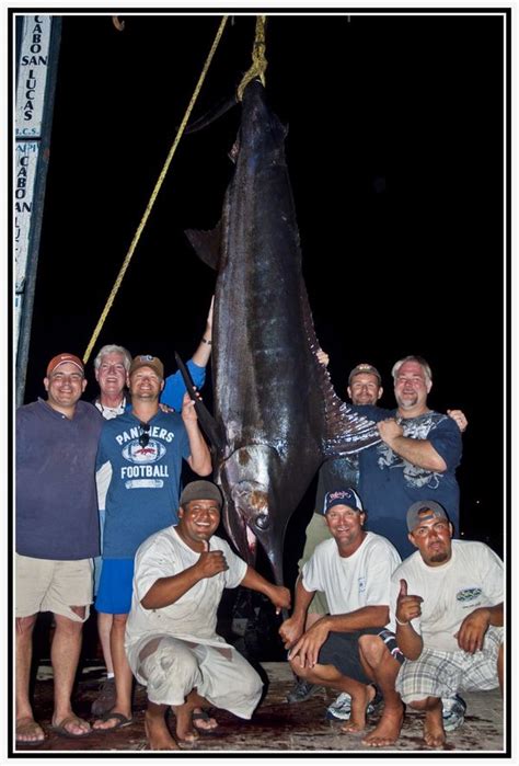 Cabo San Lucas Waters Yield 780 Pound Blue Marlin Pete Thomas Outdoors