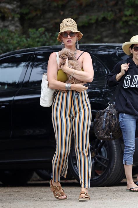 Katy Perry Looks Cute As She Takes Her Pooch And Daughter Daisy Dove To