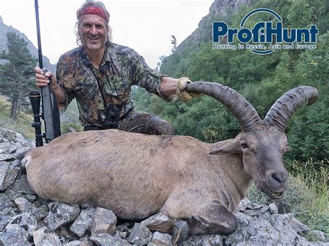 6 day mid caucasian tur hunt for 1 hunter in russia trophy fee included for 1 mid caucasian tur