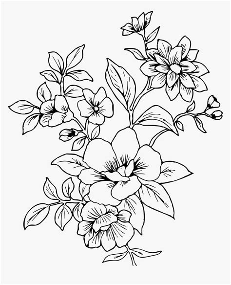 Pin By Danene King On Flower Sketches Flower Line Drawings Flower