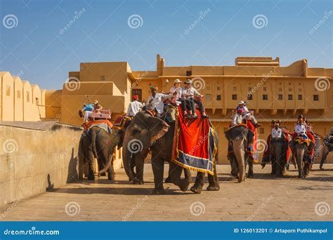 Western Tourists Riding The Elephants At Amber Fort In Jaipur India