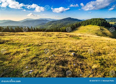Meadow On A Hillside Near Forest At Sunrise Stock Image Image Of