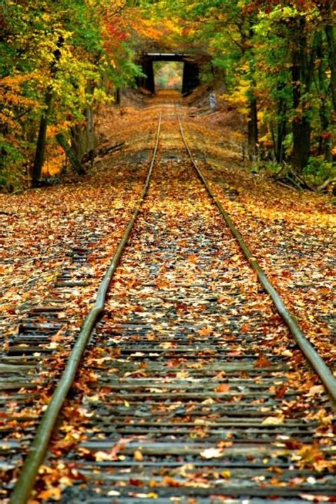 Nycoriginal Autumn Scenery Landscape Railroad Photography