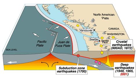 Parts Of The Pacific Northwests Cascadia Fault Are More Seismically