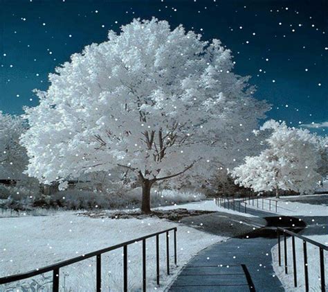 Beautiful Scene Winter Snow Hot Girl Hd Wallpaper