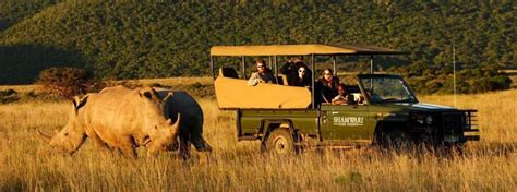 Cape Town Safari Guide Wildlife Viewing From Cape Town Cape Town