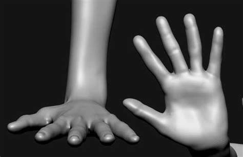 10 Anatomy Tips For 3d Artists Creative Bloq