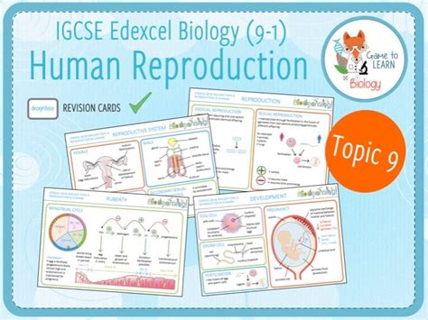 Igcse Biology 9 1 Topic 9 Human Reproduction Revision Cards Ks4 Teaching Resources
