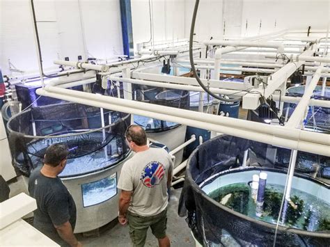 Group From Micronesia Explores Possibilities Of Aquaculture Hawaii