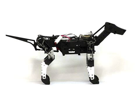 G Dog Robot Moves Swiftly Scares Others Easily Wired