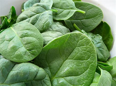 Green Leafy Vegetables, A Nutritive Alkalizing Food High ... Blader door de 777.042 leafy greens beschikbare stockfoto's en beelden, of begin een nieuwe zoekopdracht om meer stockfoto's en.