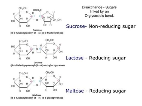 Why Sucrose Is A Non Reducing Carbohydrates