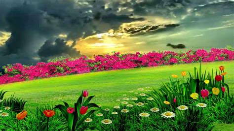 Beautiful Natural Flower Garden Dream Background Video 861 Green