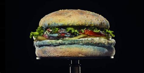 Burger King Sorgt Für Entsetzen Und Aufmerksamkeit Wandv