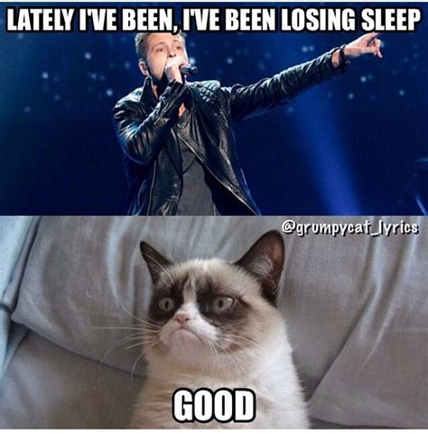 Grumpy Cat Sings Counting Stars By One Republic Cat Jokes Funny