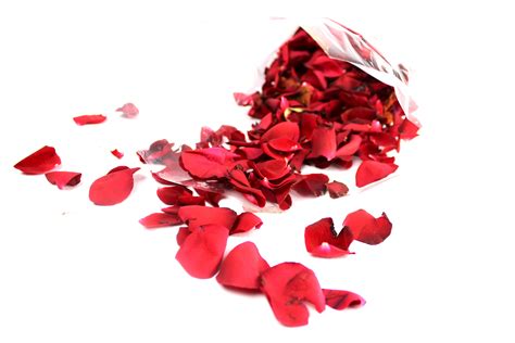 Red Rose Petals Fields Of Colour Online Flower Shop