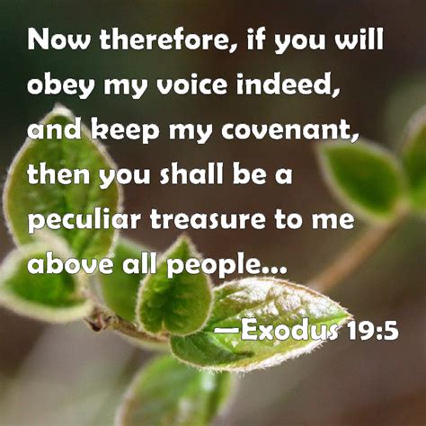 Exodus 195 Now Therefore If You Will Obey My Voice Indeed And Keep