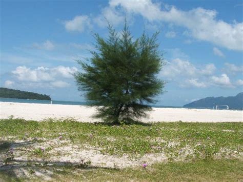 Quiet Beach And Gorgeous Scenery At The Pelangi Beach Resort Picture